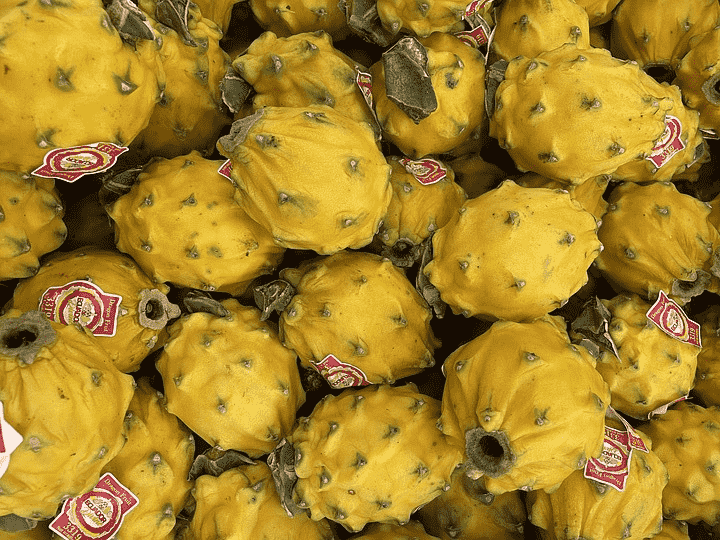 images/1656662579534Máquina clasificadora de frutas del dragón.png